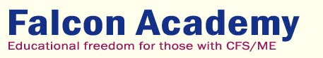 Falcon Academy logo