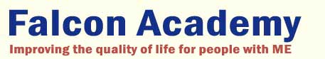 Falcon Academy logo